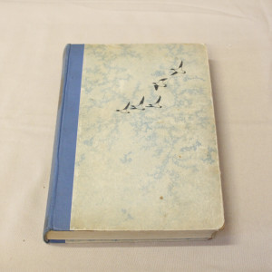 Yrjö Kokko Ungelon torppa